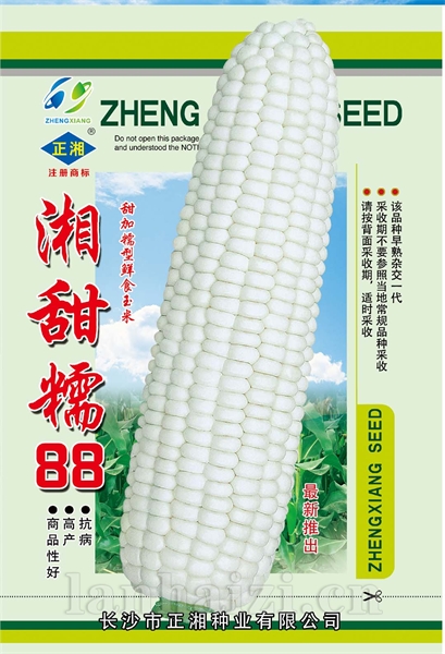 湘甜糯88