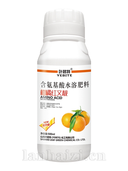 柑橘红又靓500