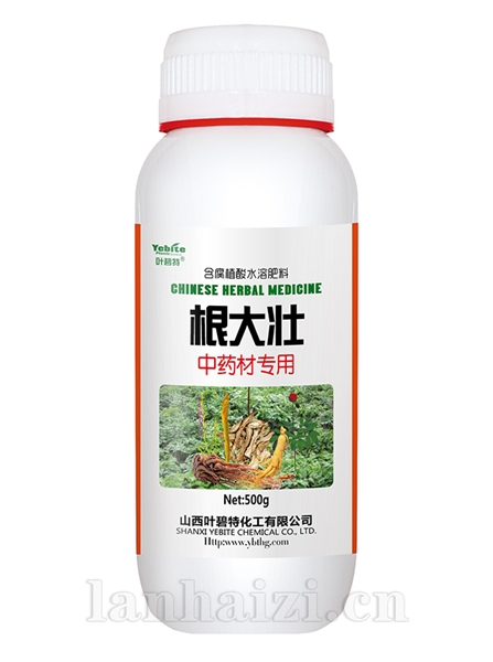 根大壮