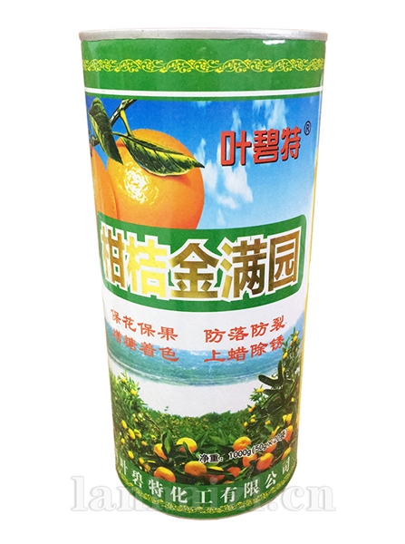 柑桔金满园