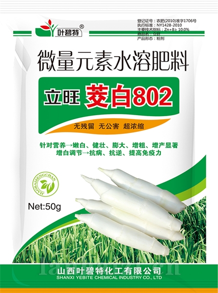 立旺茭白802