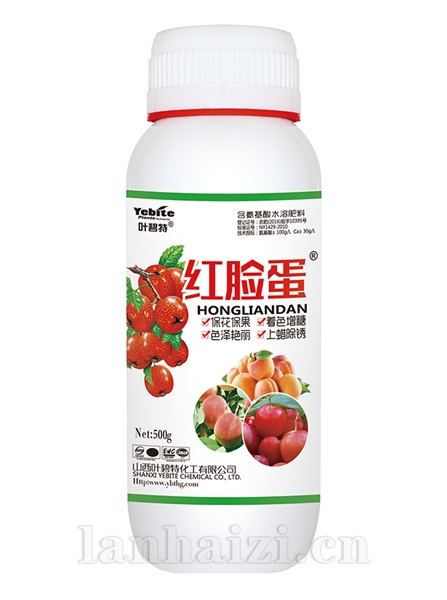 红脸蛋500g