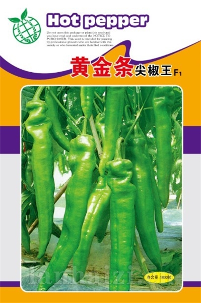 供应黄金条巨型尖椒王—辣椒种子