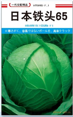 供应甘蓝种子、包菜种子、圆白菜种子