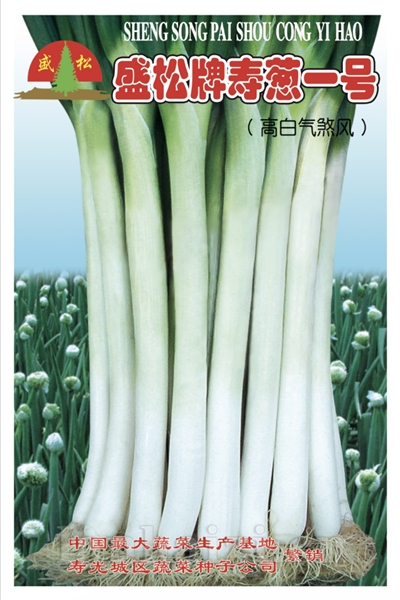 供应盛松牌寿葱一号大葱种子