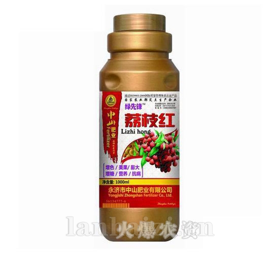绿先锋-荔枝红