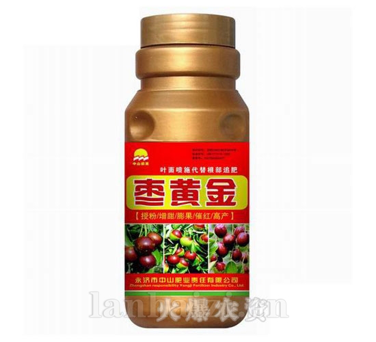 绿先锋-枣黄金