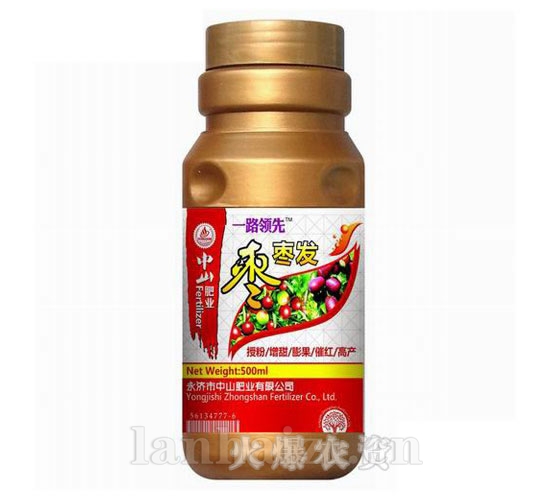 一路***-枣枣发