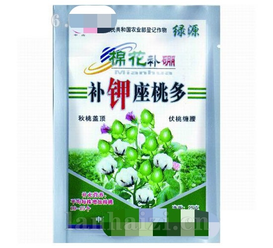 棉花补硼补钾座桃多