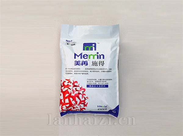 美苒施得