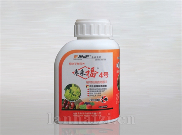 枣来福4号