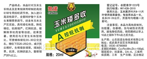 玉米矮多收