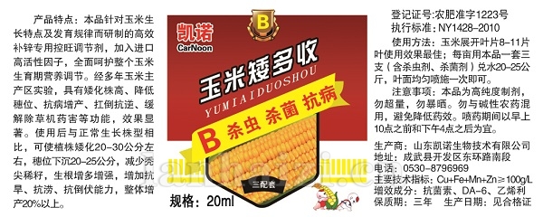 玉米矮多收