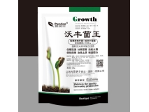 沃丰菌王
