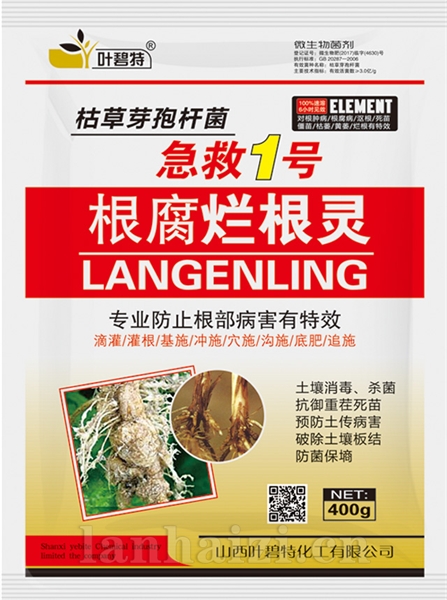 根腐烂根灵