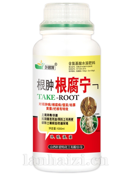 根肿根腐宁