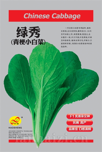 绿秀-小白菜种子
