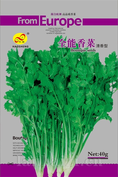 全能香菜清香型