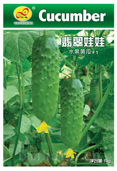 翡翠娃娃-黄瓜种子
