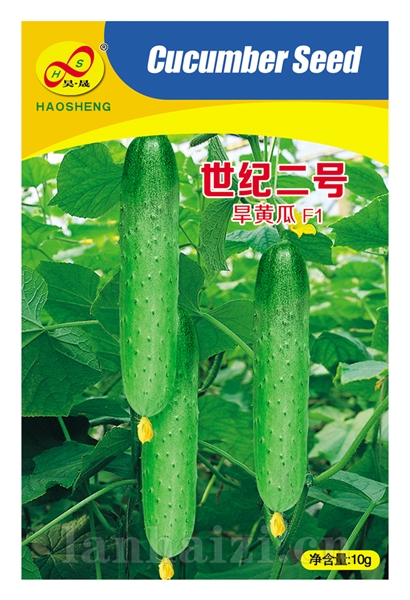 世纪二号-黄瓜种子