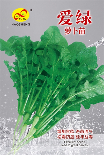 爱绿——萝卜苗