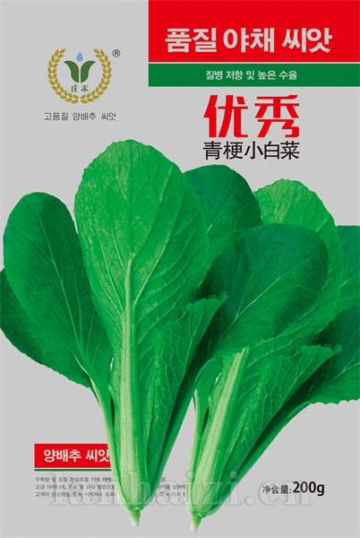 优秀-小白菜种子