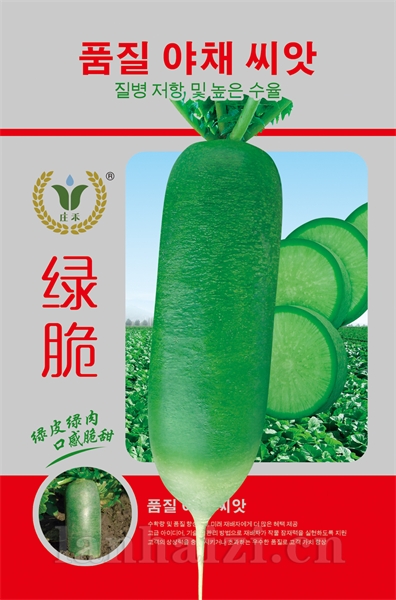 绿脆-水萝卜种子