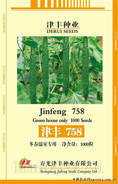 黄瓜种子--津丰758