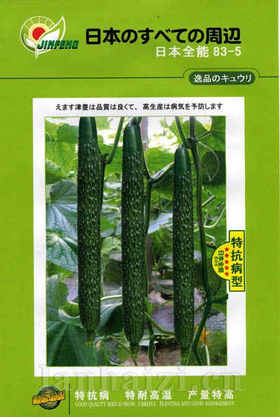 日本全能83-5-黄瓜种子