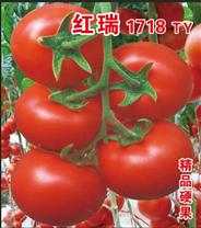红瑞1718TY
