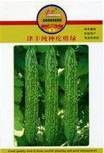 津丰纯种疙瘩绿