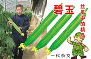碧玉