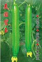 美国碧玉