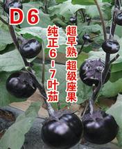 D6