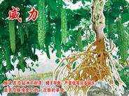 威力