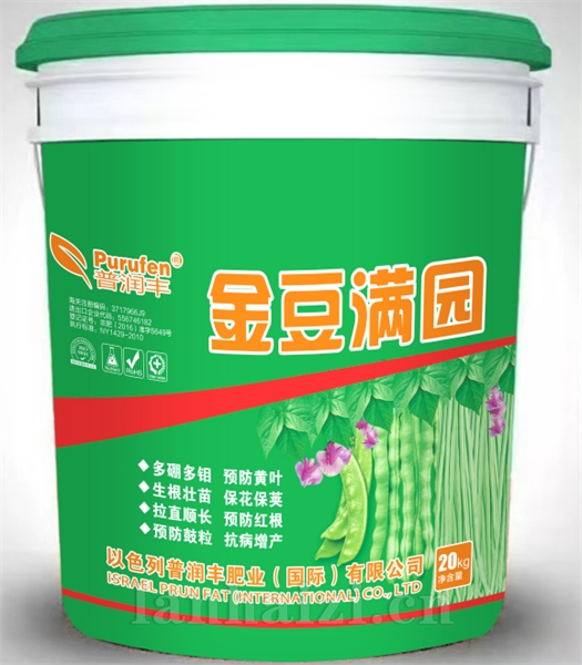 金豆满园