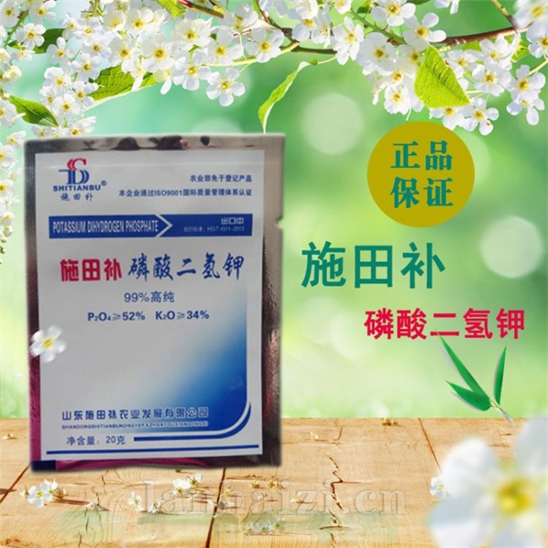 碧护供应磷酸二氢钾20g袋装99%微量元素小麦叶面肥效果优于芸苔素