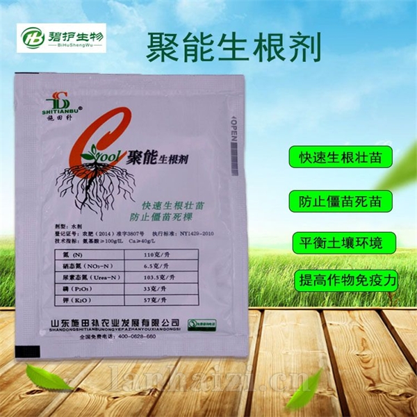 碧护生根剂氨基酸小麦叶面肥通用肥料移栽快速生根粉果树壮根
