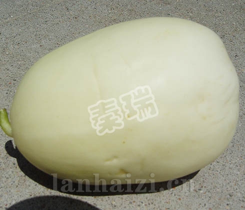 凌甜一号-甜瓜种子