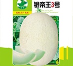 银帝王3号
