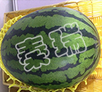 秦瑞甜王2号