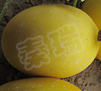 红满天