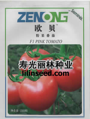 欧贝番茄种子