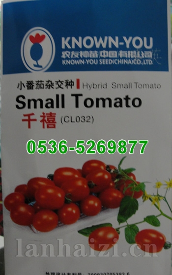 千禧小番茄种子