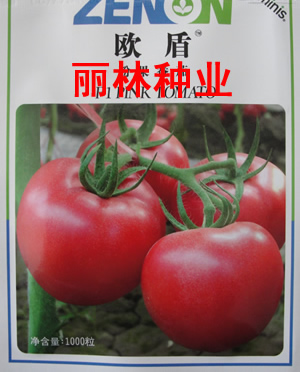 欧盾番茄种子