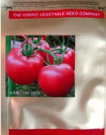 京葫36西葫芦种子