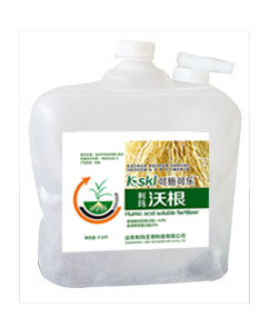 沃根