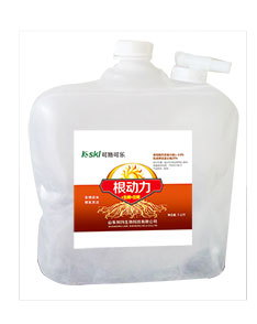 根动力