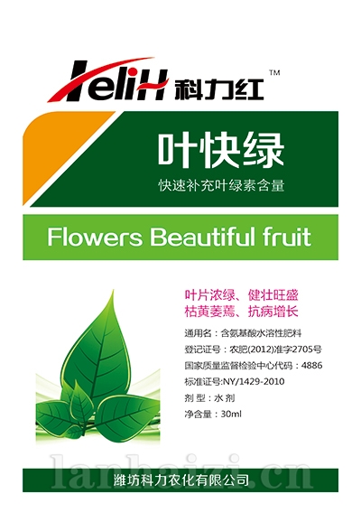 叶快绿