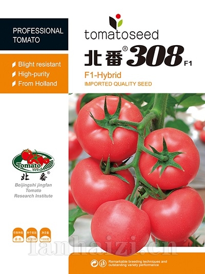北番301F1-抗TY300元袋